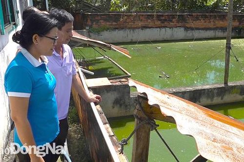 Khắp nơi trong tỉnh ngày 26-11-2022