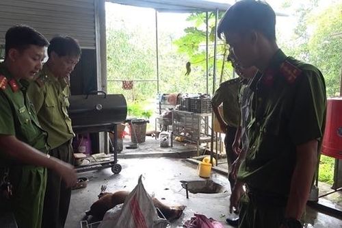 Chủ nhà hàng gom rùa hoang dã để 'chiều' khách nhậu