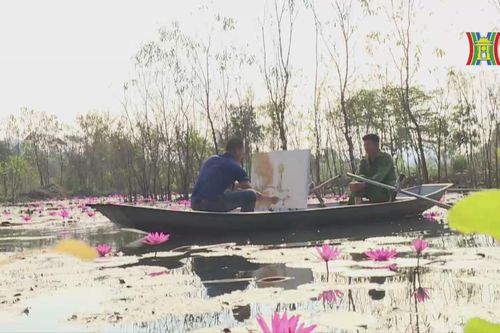 Suối Yến mùa hoa súng