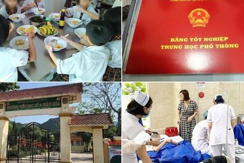 Giáo dục tuần qua: Hiệu trưởng cầm cố sổ đỏ nhà trường; kiểm soát thực phẩm vào trường học