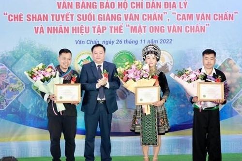 Yên Bái: Đón nhận bằng bảo hộ Chỉ dẫn địa lý và nâng cao giá trị nông sản đặc trưng của huyện Văn Chấn