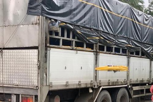 Tạm giữ tài xế lùi xe trên quốc lộ làm 3 mẹ con tử vong
