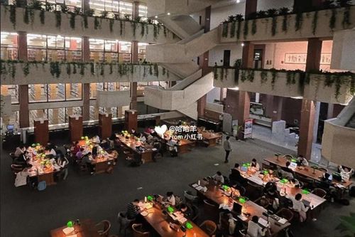 Thư viện ở 'Harvard châu Á' 6h vẫn sáng đèn, sinh viên học xuyên đêm