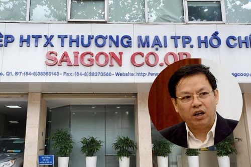 TP.HCM: Trả hồ sơ để điều tra bổ sung vụ Saigon Co.op
