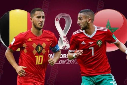 'Mèo tiên tri' dự đoán kết quả trận Bỉ và Maroc