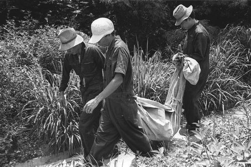 'Sát nhân trong lọ' gieo rắc ám ảnh tại Hồng Kông