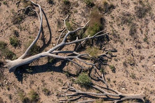 Hạn hán lịch sử ở California đe dọa an ninh lương thực của Mỹ