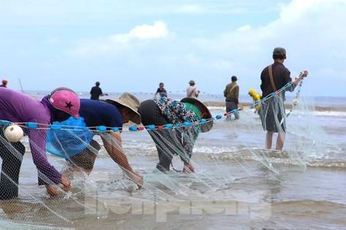Độc đáo nghề 'đi giật lùi' kiếm nửa triệu mỗi ngày ở cửa biển