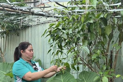 Công nhân chật vật mưu sinh cuối năm