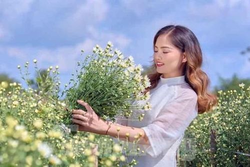 Giới trẻ Hải Phòng xúng xính váy áo check-in vườn cúc họa mi