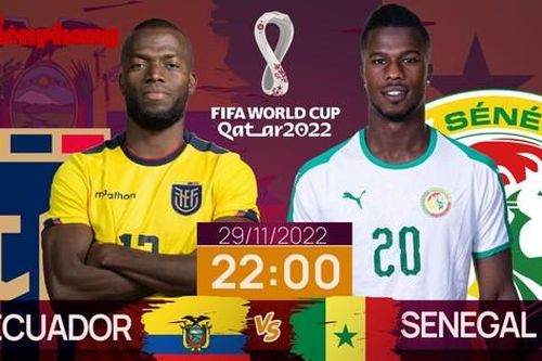 World Cup 2022: Tương quan trước trận Ecuador - Senegal, 22 giờ 29/11