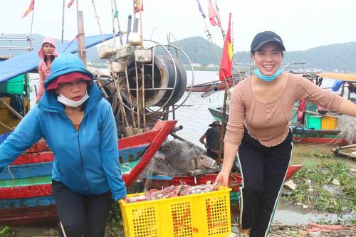 Nhộn nhịp mùa săn ghẹ ở Cửa Lò
