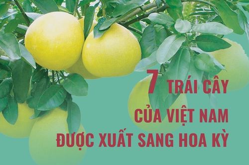 7 trái cây của Việt Nam được xuất sang Hoa Kỳ