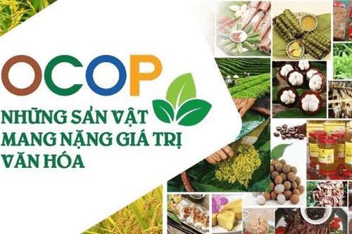 Những ứng viên tài năng của cuộc thi 'Khởi nghiệp đổi mới sáng tạo trong sản xuất kinh doanh'