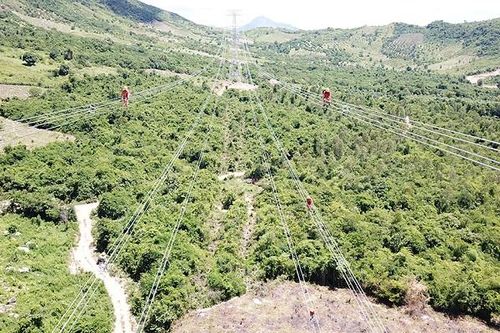Truyền tải điện 3 sẵn sàng vận hành Cụm công trình truyền tải giải tỏa công suất NMNĐ BOT Vân Phong 1