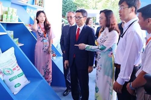 Bạc Liêu xác định phát triển năng lượng sạch, năng lượng tái tạo là trọng tâm