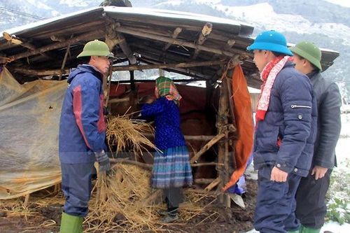 Khẩn trương ứng phó mưa lũ, rét đậm, rét hại và gió mạnh trên biển