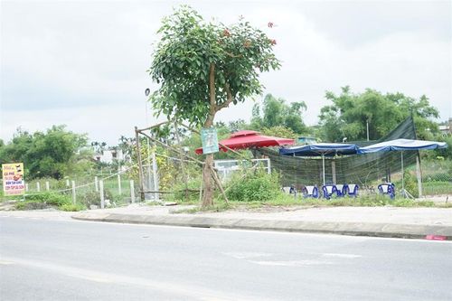 Chây ỳ!