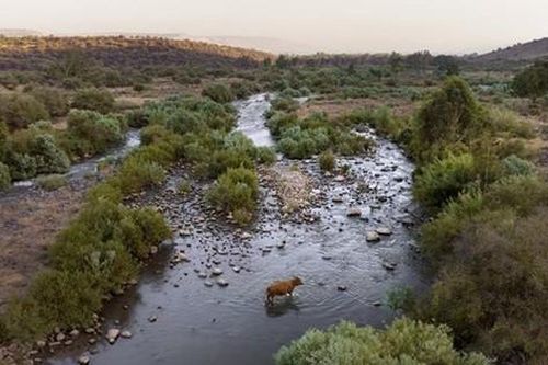Israel công bố kế hoạch sinh thái