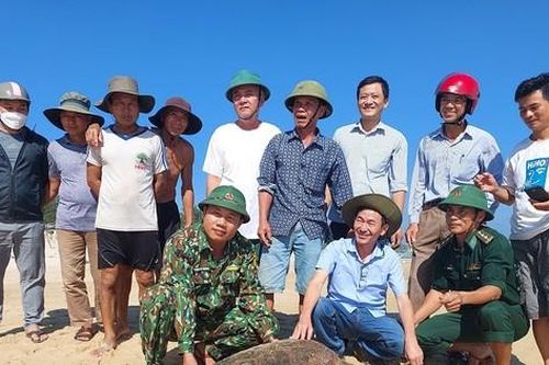 Cứu hộ kịp thời cá thể vích quý hiếm mắc vào lưới ngư dân
