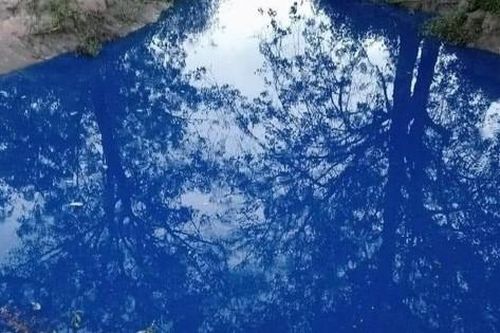Lộ nguyên nhân khiến nước thải có màu xanh bất thường ở Đồng Nai