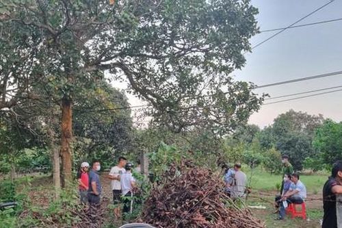 Đắk Lắk: Phát hiện thi thể đang phân hủy gần trường học