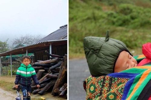 Nghệ An chỉ đạo ứng phó trước dự báo mưa lũ, rét đậm, rét hại