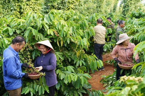 'Chìa khóa' hướng tới mục tiêu đưa mức phát thải ròng về bằng 0