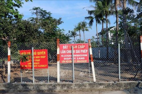 Xử lý nhiều vụ vi phạm đất đai, lâm nghiệp trên đảo Phú Quốc