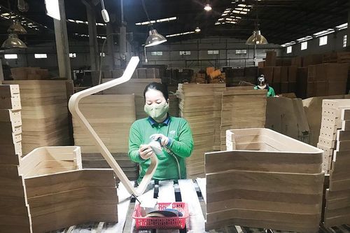 Giải bài toán nguyên liệu của ngành gỗ