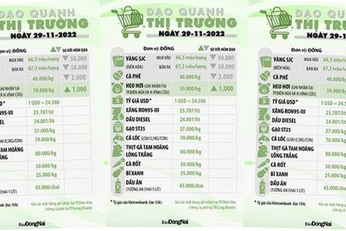 Dạo quanh thị trường 29-11-2022