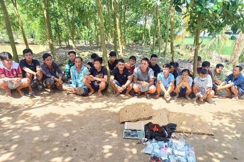 Bắt quả tang hàng chục đối tượng tham gia đá gà ăn thua bằng tiền