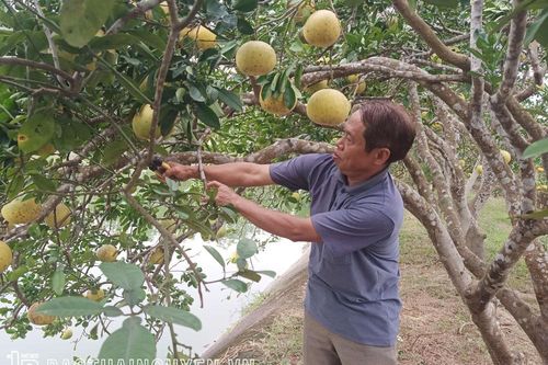 Điểm sáng về dân vận ở Phú Bình