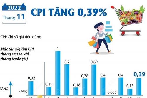 CPI tháng 11/2022 tăng 0,39%