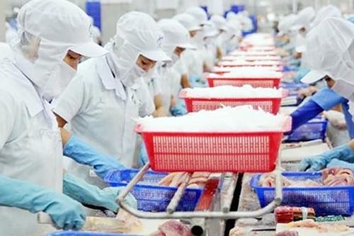 Việt Nam hướng đến xuất khẩu xanh để vào 'sân chơi' thế giới