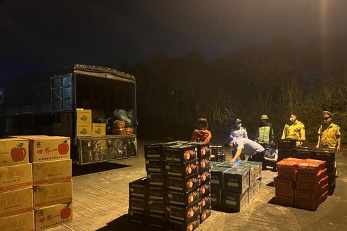 Quảng Ninh: Kiên quyết ngăn chặn thực phẩm không rõ nguồn gốc dịp cuối năm