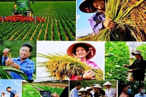 Quyết liệt hơn trong thực hiện Chương trình phát triển kinh tế-xã hội vùng đồng bào dân tộc