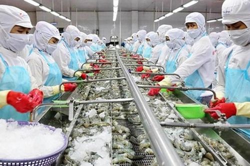 Bài toán khó cho doanh nghiệp thủy sản Đồng bằng sông Cửu Long