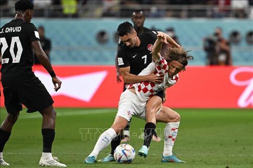 WOLRD CUP 2022: BẢNG F - Cuộc chiến 'những ông già' giữa Bỉ và Croatia