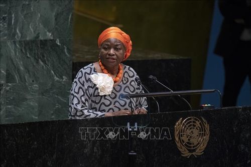 UNFPA kêu gọi thế giới đoàn kết để chấm dứt bạo lực nhằm vào phụ nữ và trẻ em gái