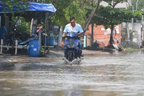 Vỡ cống, nước tràn ào ạt gây ngập, cuộc sống người dân đảo lộn