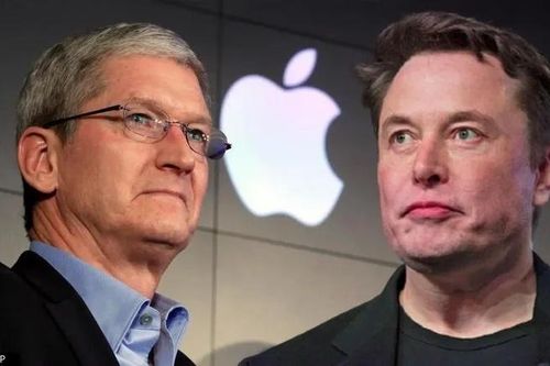 Elon Musk và Tim Cook 'bắt tay giảng hòa'