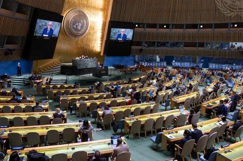 Ủng hộ giải pháp hai nhà nước trong vấn đề Palestine