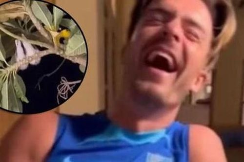 Jack Grealish cười 'sặc sụa' khi đồng đội tuyển Anh bị chim 'đi bậy' lên đầu