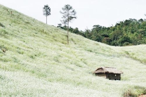 Mộc Châu - Điểm đến thiên nhiên hàng đầu thế giới