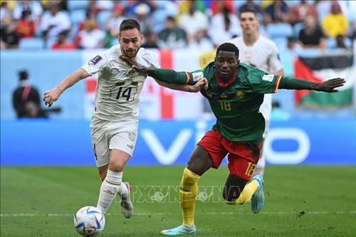 World Cup 2022: Bảng G - Cơ hội chia đều cho Serbia và Thụy Sĩ