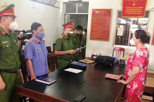 Đề nghị truy tố hai bị can trốn thuế tiền tỷ khi bán 262 lô đất ở Phú Yên