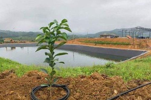 Một công nhân tử vong tại hồ nước của công ty