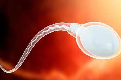 Nghiên cứu mới báo động về sự sụt giảm đáng kể số lượng tinh trùng ở nam giới trên toàn cầu