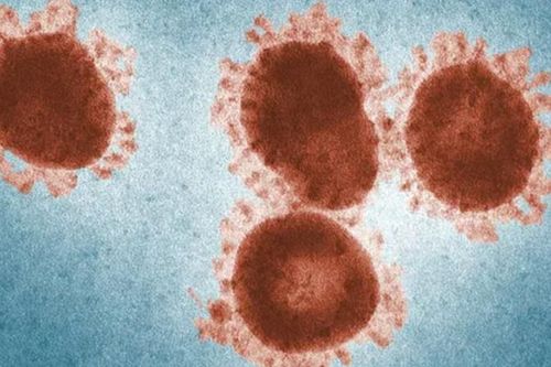 'Virus xác sống' bất ngờ hồi sinh, Trái đất liệu có gặp họa?